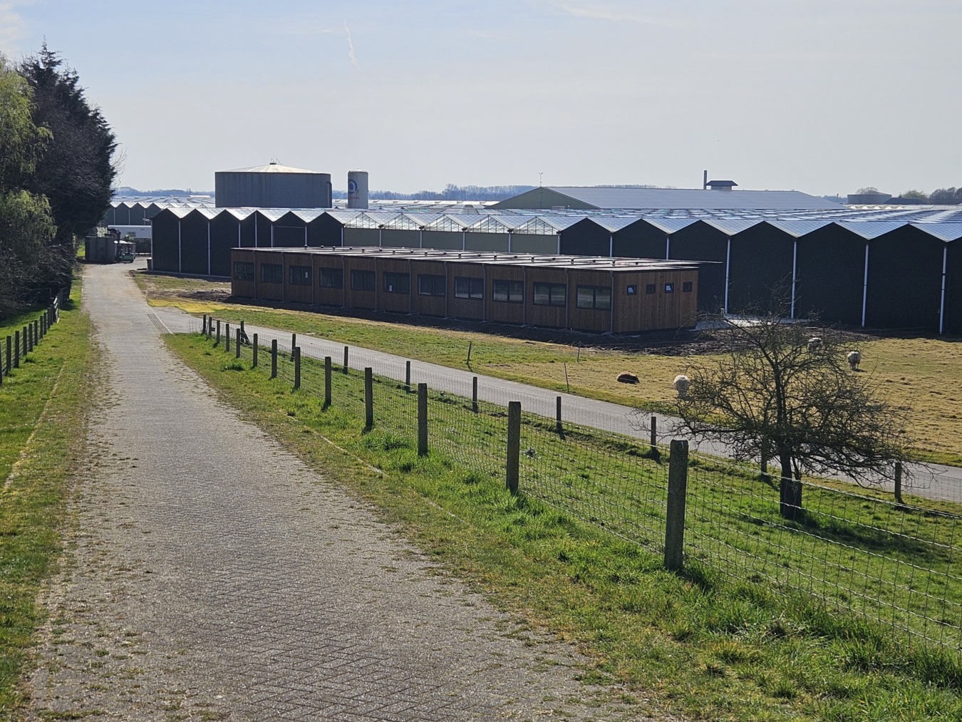 Overzicht foto van de tuinkassen van Van Uitert met ernaast de huisvesting voor seizoensarbeiders